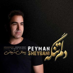دانلود آهنگ جدید پیمان شیبانی به نام دلم تنگه