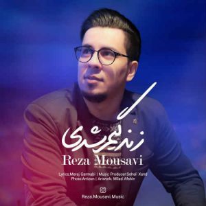 دانلود آهنگ جدید رضا موسوی به نام زندگیم شدی