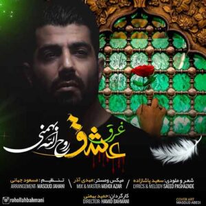 روح الله بهمنی به نام غرق عشق