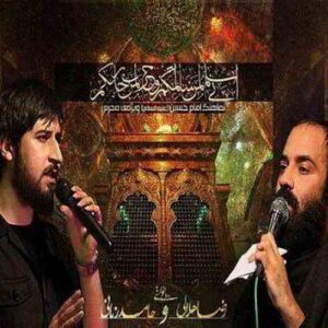 عبدالرضا هلالی و حامد زمانی حسین ع
