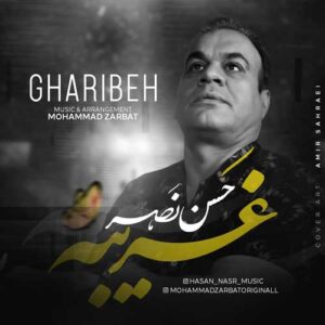دانلود آهنگ جدید حسن نصر به نام غریبه