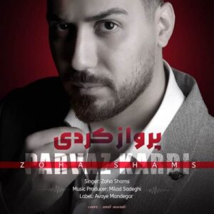 دانلود آهنگ ضحی شمس به نام پرواز کردی