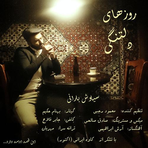 سیاوش بارانی روزهای دلتنگی