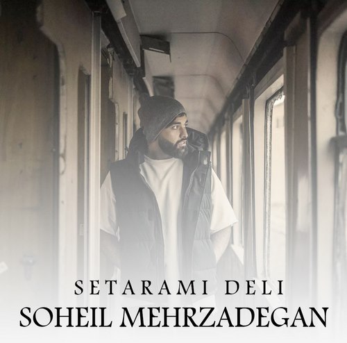 سهیل مهرزادگان ستارمی (دلی)