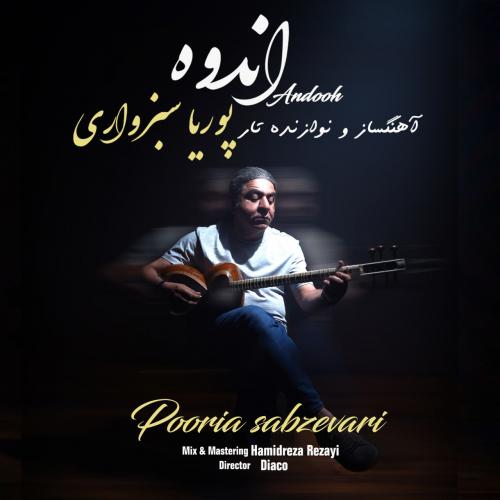 پوریا سبزواری اندوه