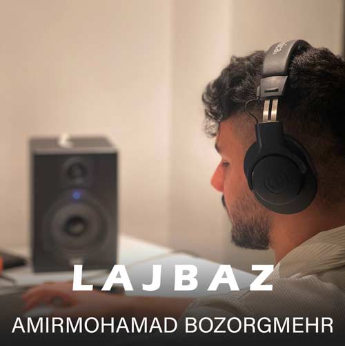 امیرمحمد بزرگمهر لجباز