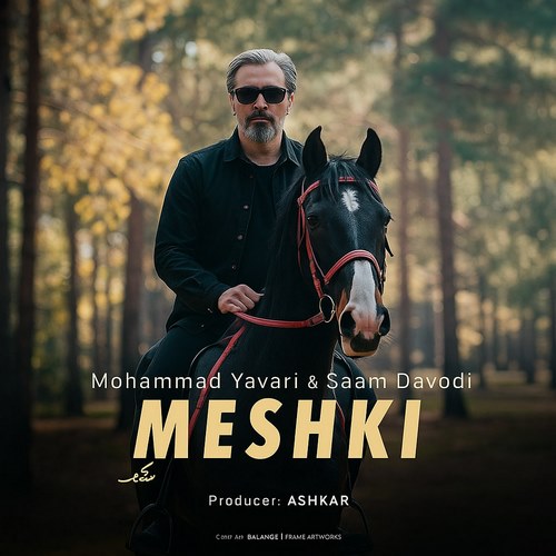 محمد یاوری مشکی
