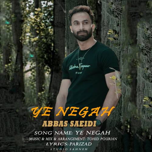 عباس سعیدی یه نگاه