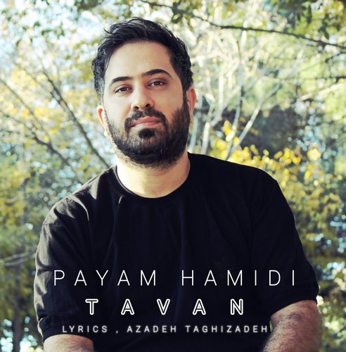 پیام حمیدی تاوان