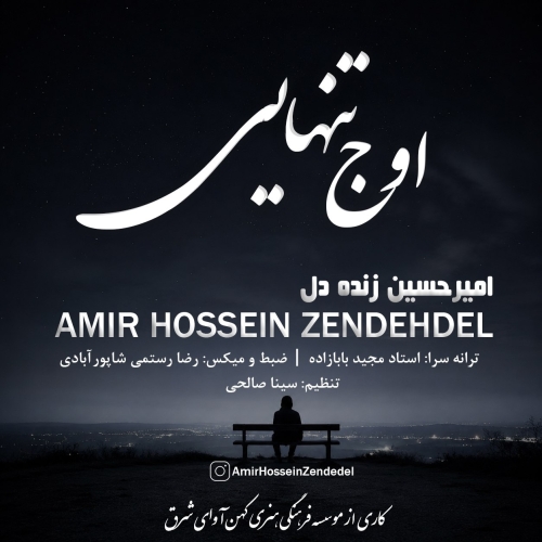 امیرحسین زنده دل اوج تنهایی