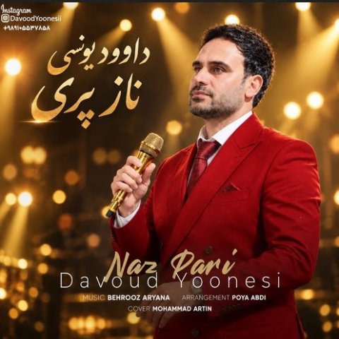 دانلود آهنگ داوود یونسی به نام ناز پری