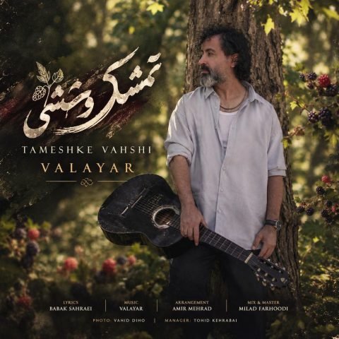 دانلود آهنگ والایار به نام تمشک وحشی